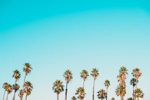 Photo peer-to-peer investments